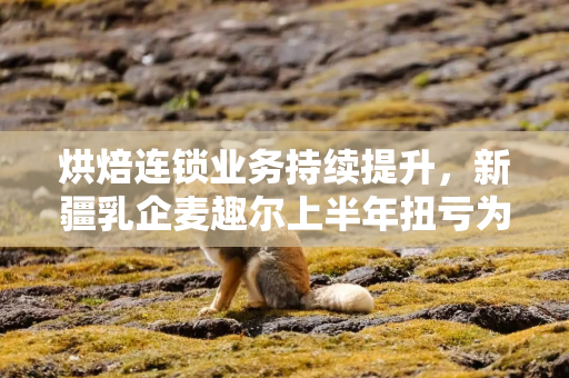 烘焙连锁业务持续提升，新疆乳企麦趣尔上半年扭亏为盈