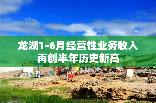 龙湖1-6月经营性业务收入再创半年历史新高