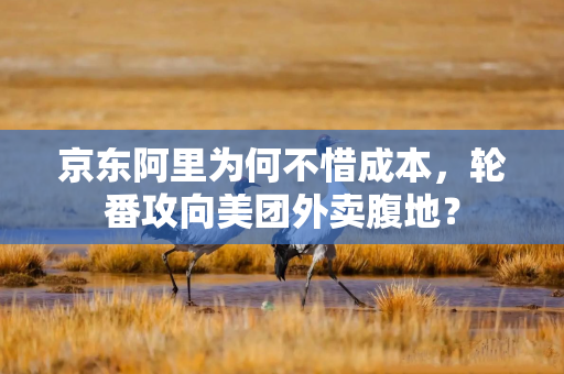 京东阿里为何不惜成本，轮番攻向美团外卖腹地？