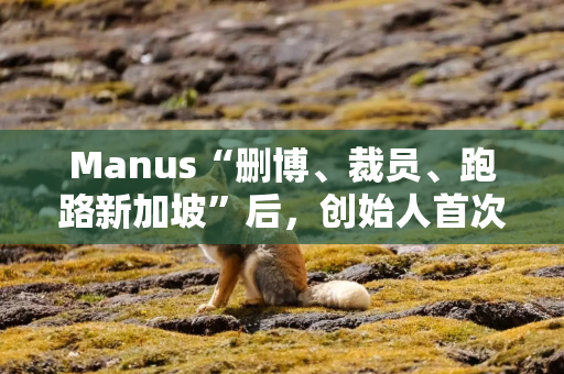 Manus“删博、裁员、跑路新加坡”后，创始人首次复盘经验教训