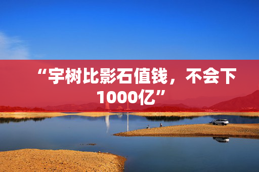 “宇树比影石值钱，不会下1000亿”