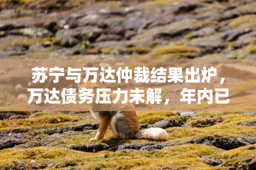 苏宁与万达仲裁结果出炉，万达债务压力未解，年内已遭七轮股权冻结