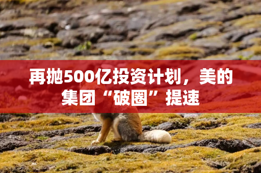 再抛500亿投资计划，美的集团“破圈”提速