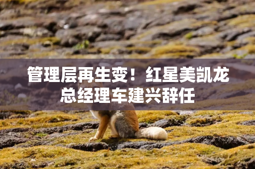 管理层再生变！红星美凯龙总经理车建兴辞任