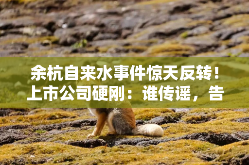 余杭自来水事件惊天反转！上市公司硬刚：谁传谣，告到倾家荡产！