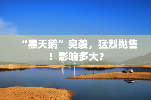“黑天鹅”突袭，猛烈抛售！影响多大？