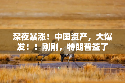 深夜暴涨！中国资产，大爆发！！刚刚，特朗普签了