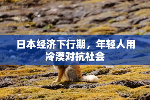 日本经济下行期，年轻人用冷漠对抗社会