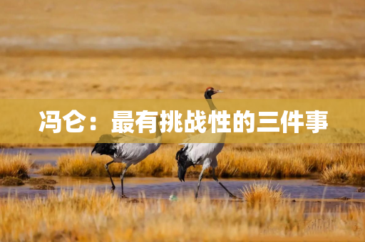 冯仑：最有挑战性的三件事