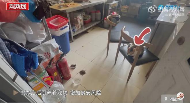 外卖价格策略方案_外卖超低价_