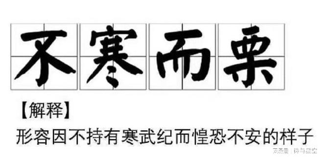 武寒纪好看吗__武纪寒武纪