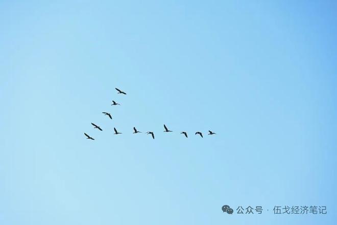 伍戈：谁最超预期？