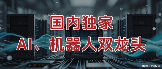 国内独家，AI、机器人双龙头，放手一搏！