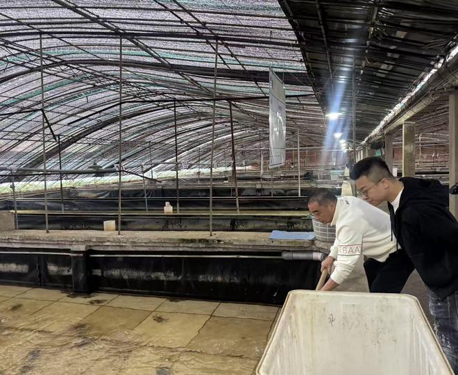 _蟹塘里的“桥梁”:江苏如东蟹农与台湾主播共绘两岸新经济图景_蟹塘里的“桥梁”:江苏如东蟹农与台湾主播共绘两岸新经济图景