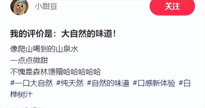 _巨头们都在押注的白桦树汁是智商税吗？_巨头们都在押注的白桦树汁是智商税吗？