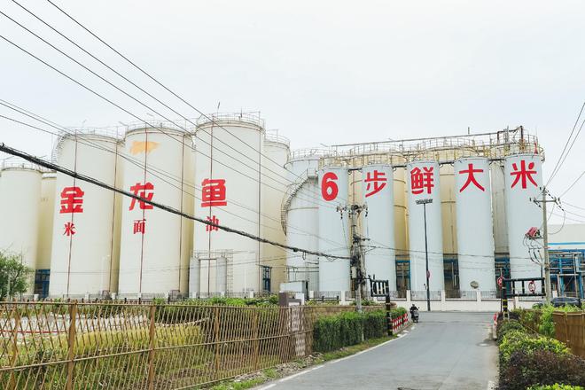 _不追流量追价值：金龙鱼6步鲜x《种地吧》诠释鲜米与土地的信仰_不追流量追价值：金龙鱼6步鲜x《种地吧》诠释鲜米与土地的信仰