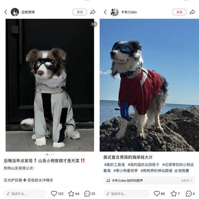 始祖鸟户外品牌介绍_zxglobal始祖鸟_