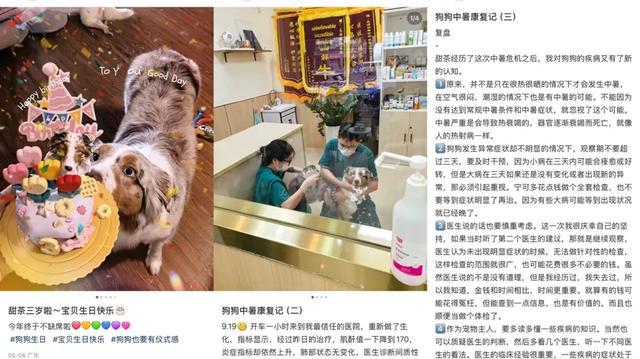 zxglobal始祖鸟__始祖鸟户外品牌介绍