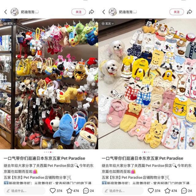 始祖鸟户外品牌介绍_zxglobal始祖鸟_