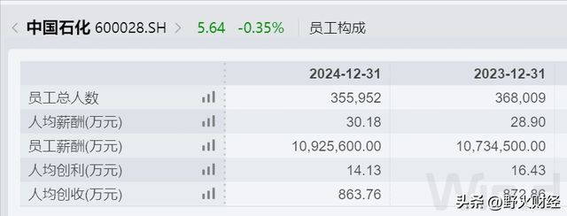 _中石化工资总额公布_中石化2020年收入