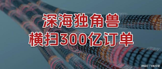 横扫300亿订单，深海独角兽，暗藏玄机！