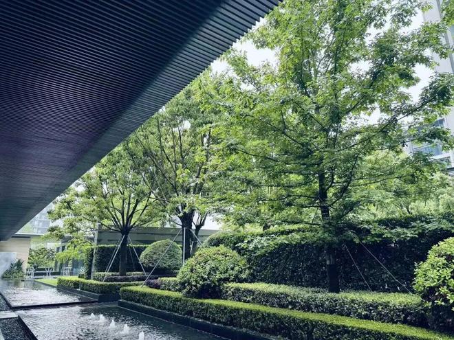 保利销售额__保利2020销售情况