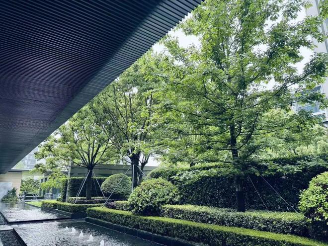 _保利销售额_保利2020业绩