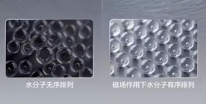 中山的家电企业__中山家电品牌大全