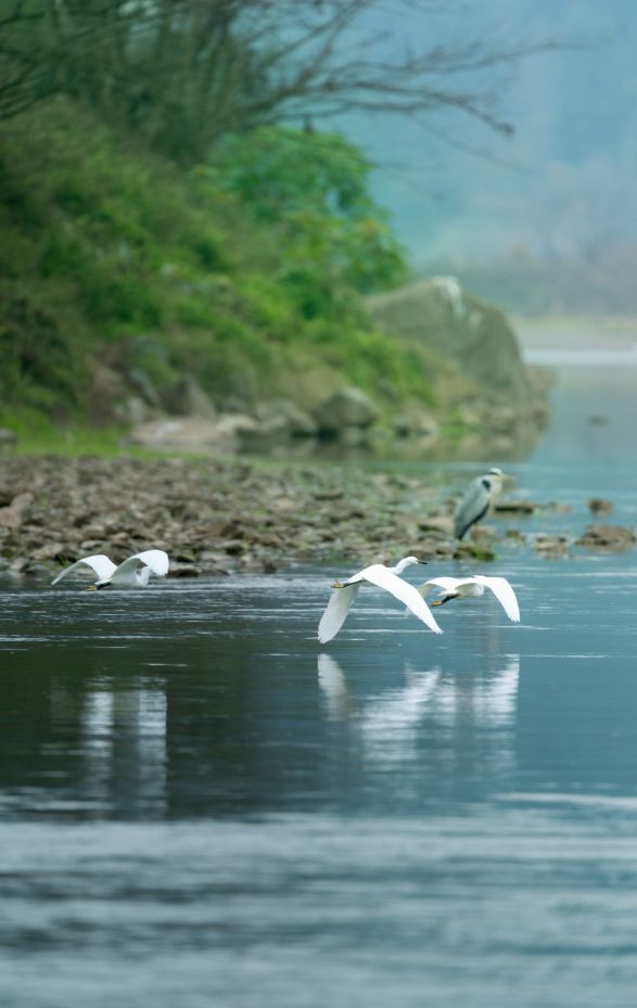 赤水贴吧赤水论坛_赤水贴吧赤水论坛车祸_