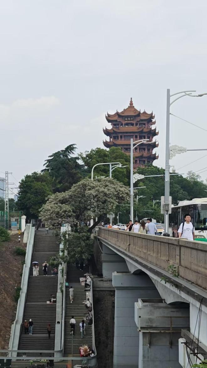 _中部城市第一_中部城市群