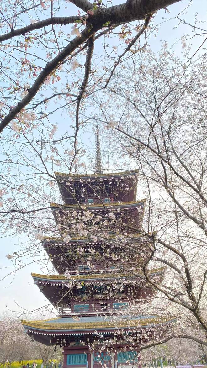 _中部城市第一_中部城市群