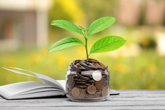 “双碳”五年成果，就在你的新能源生活里：出行靠绿电，环保变潮流