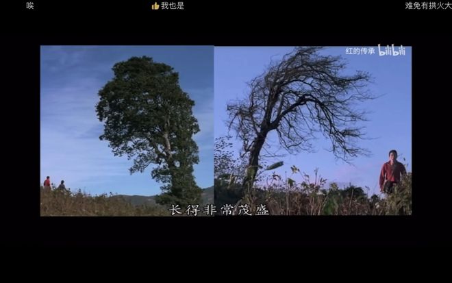 饺子醋是什么__饺子醋好吃吗
