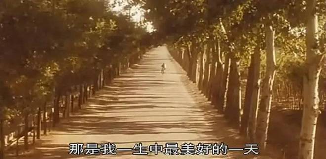 饺子醋好吃吗_饺子醋是什么_