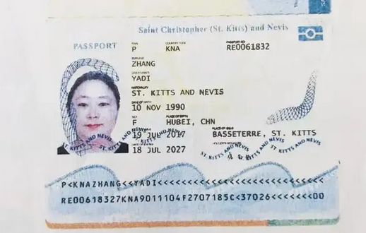 跨境犯法__跨境罪案