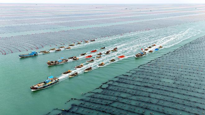 海洋经济已破10万亿，今日多只“海”字股涨停，哪些城市和产业将受益？