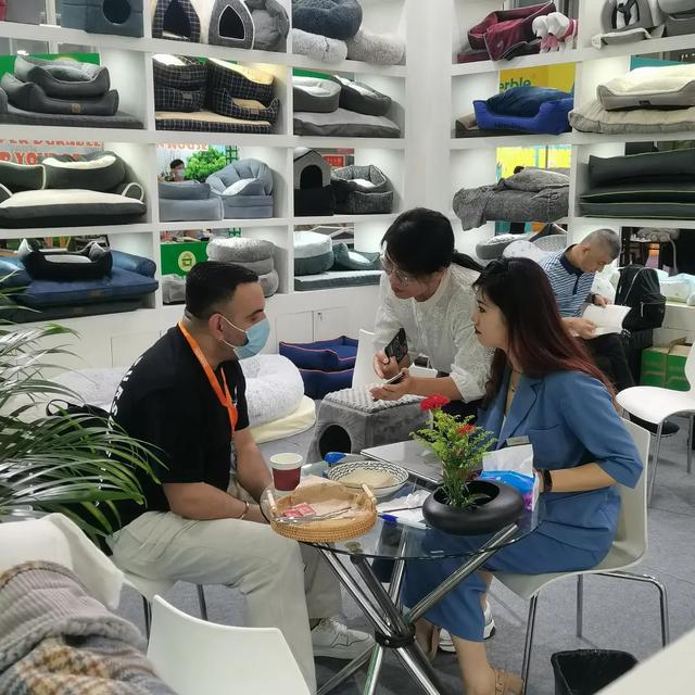 山东女孩5万起家创业，年销2000万，中国猫窝攻占美国客厅_山东女孩5万起家创业，年销2000万，中国猫窝攻占美国客厅_