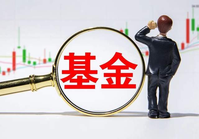 _历年冠军基金收益率_基金业绩冠军