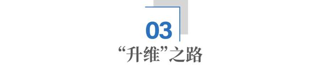 _连云港纤维新材料研究院_连云港维塞材料有限公司