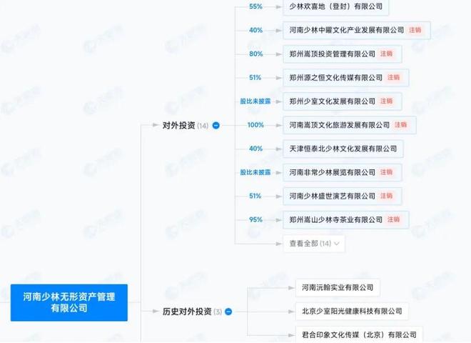 少林寺隐藏高手__少林寺宫主隐藏