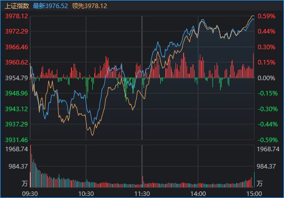 午后潮热身热不扬者属_红巨首蚁近缘巨首_