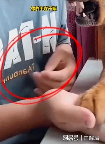 碧血蓝天影射什么事件__容晖现实照