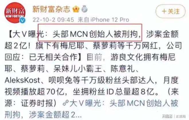 碧血蓝天影射什么事件__容晖现实照