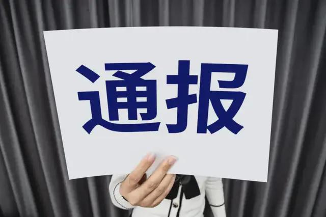 上交所最新上市发审动态揭保荐机构IPO经销模式核查四大问题！