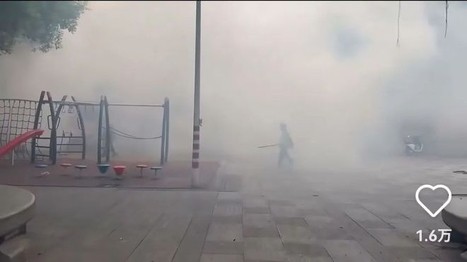 _杀疯了！全民灭蚊总动员，大广东给我们上了一课_杀疯了！全民灭蚊总动员，大广东给我们上了一课