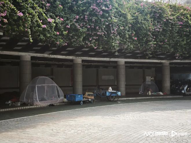 杀疯了！全民灭蚊总动员，大广东给我们上了一课_杀疯了！全民灭蚊总动员，大广东给我们上了一课_