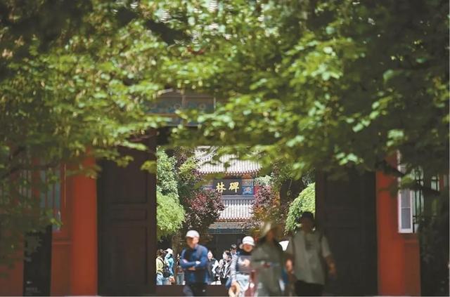 “白银政策”_白银优惠促销_