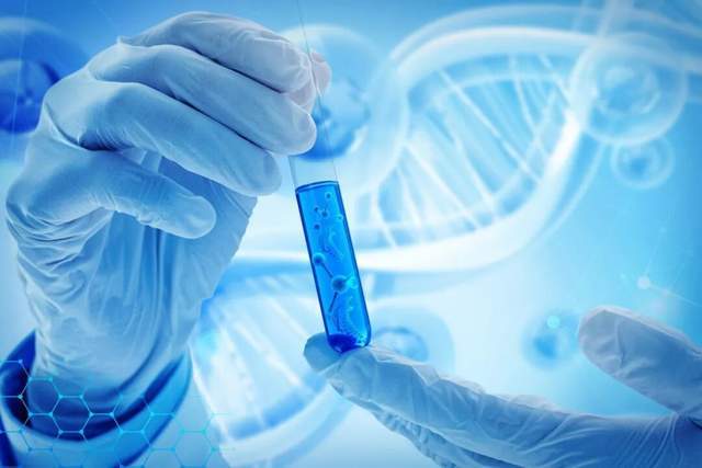 _三个北大学霸的故事:粪便造假上市现形_三个北大学霸的故事:粪便造假上市现形