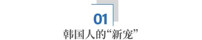 湘南这座偏远大山，为何成了韩国人的“新宠”？__湘南这座偏远大山，为何成了韩国人的“新宠”？