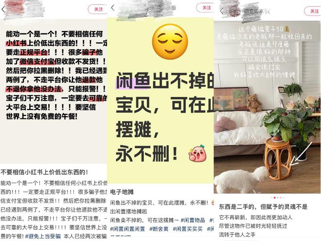 小红书火__闲鱼小红书